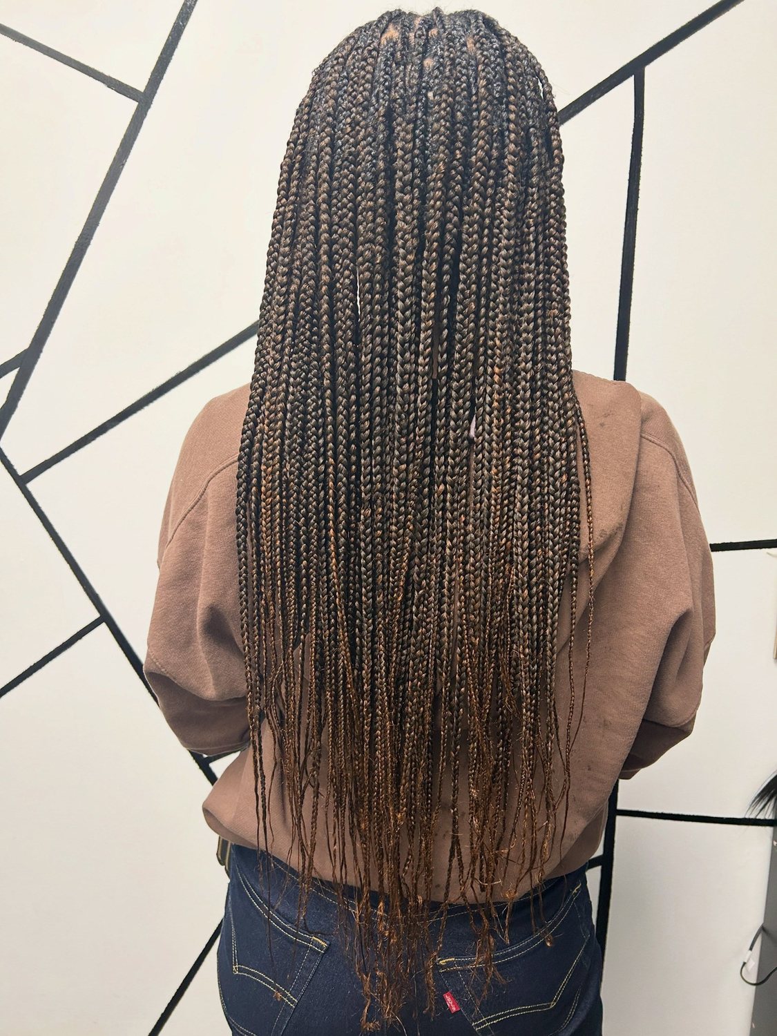 Waist-length brown braids, seen from behind
